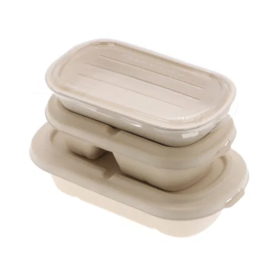Biodegradable Disposable Takeaway Tableware Dinnerware Compostable Sugarcane Bagasse Pulp Paper Tray to Go Packaging Food Container Lunch Clamshell Box