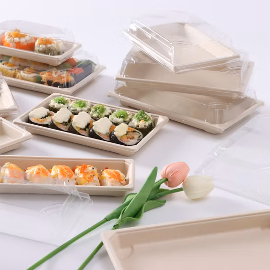 Food Grade Sugar Cane Pulp Sushi Tray Plastic