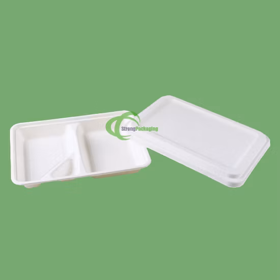 Biodegradable Disposable Takeaway Tableware Dinnerware Compostable Sugarcane Bagasse Pulp Paper Tray to Go Packaging Food Container Lunch Clamshell Box