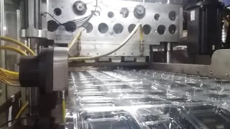 Strawberry Pet Disposable Clamshell Packaging Transparent Fruit Plastic Box