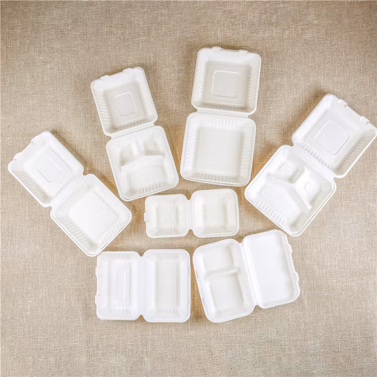 Eco Friendly Take Away out Packaging Disposable Tableware Compostable Biodegradable Cornstarch PLA Sugarcane Bagasse Clamshell Lunch Food Box